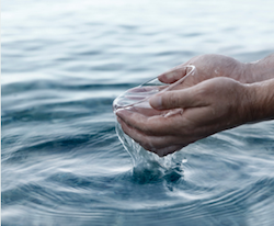 Household Baptism: Resources